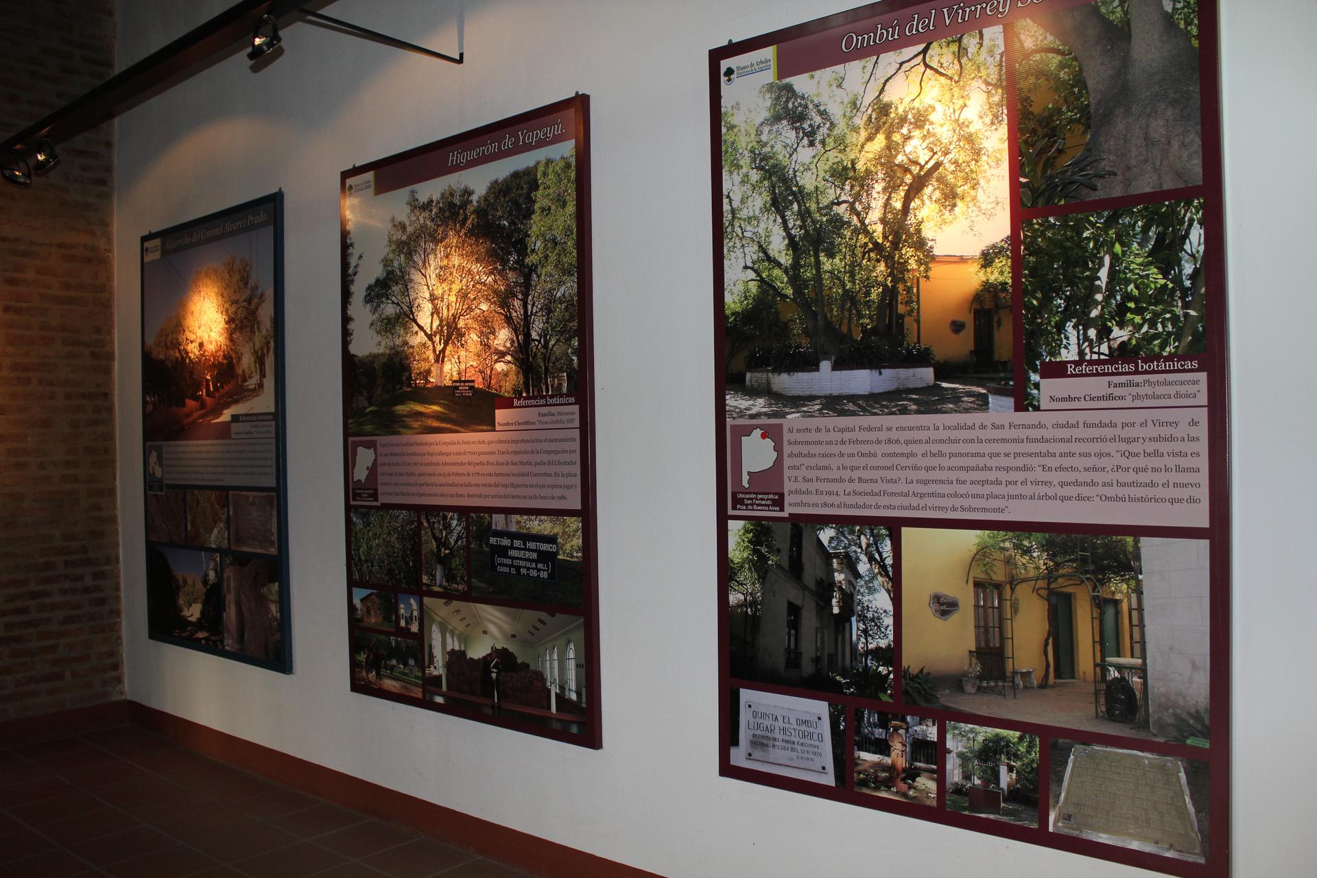 Complejo Museológico