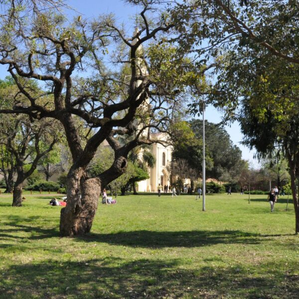 Parroquia San Lorenzo Martir